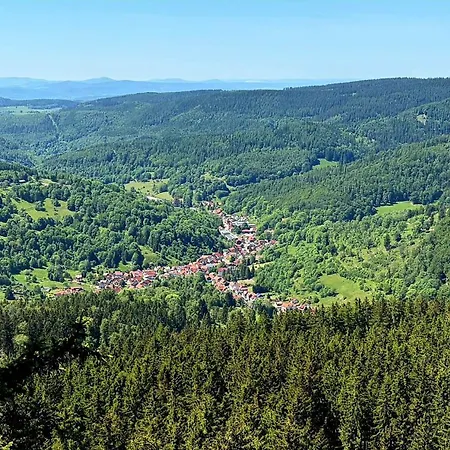 Lange Hans Rennsteig